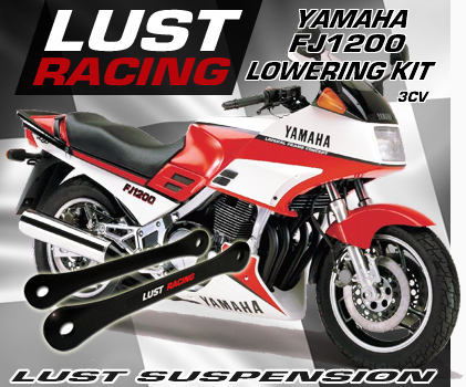 Yamaha FJ1200 mad