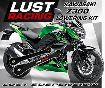 Kawasaki Z300 madallussarja